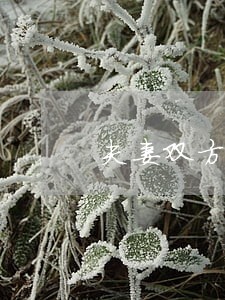 夫妻双方都信用卡都逾期没还 夫妻双方都信用卡都逾期没还