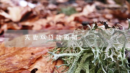 夫妻双贷款逾期 夫妻双贷款逾期
