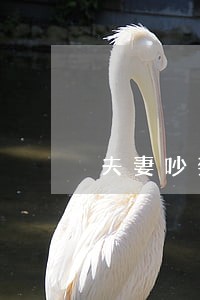 夫妻吵架老婆提出离婚怎么办呀 夫妻吵架老婆提出离婚怎么办呀