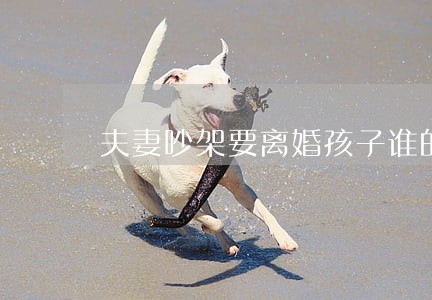 夫妻吵架要离婚孩子谁的 夫妻吵架要离婚孩子谁的