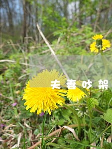 夫妻吵架闹离婚房子归谁 夫妻吵架闹离婚房子归谁