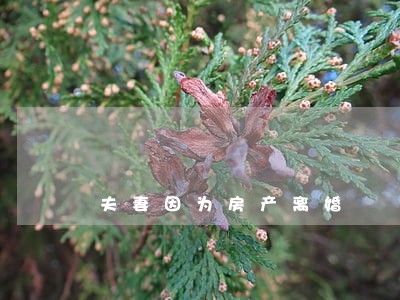夫妻因为房产离婚 夫妻因为房产离婚