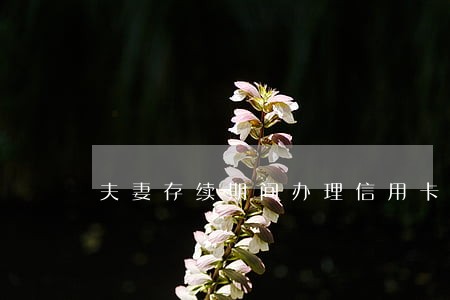 夫妻存续期间办理信用卡逾期未还 夫妻存续期间办理信用卡逾期未还