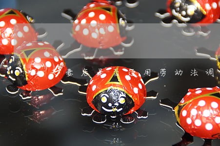 夫妻店是否适用劳动法调整