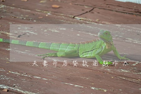 夫妻开店贷款逾期咋办 夫妻开店贷款逾期咋办