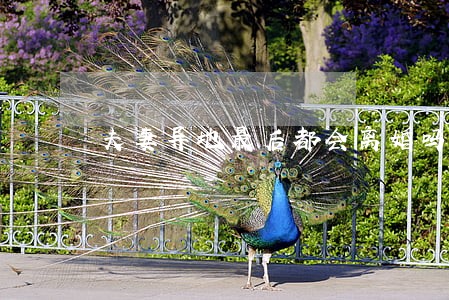 夫妻异地最后都会离婚吗 夫妻异地最后都会离婚吗