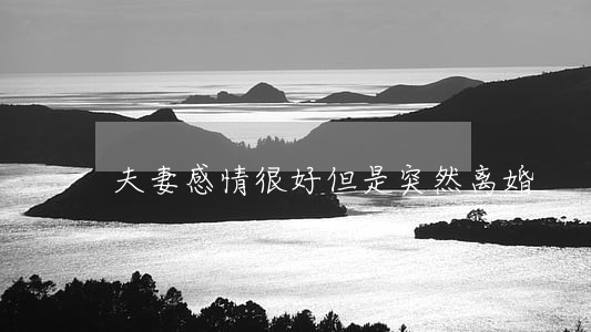 夫妻感情很好但是突然离婚 夫妻感情很好但是突然离婚