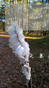 夫妻房产离婚分割协议 夫妻房产离婚分割协议