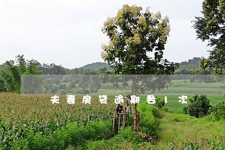 夫妻房贷逾期各1次 夫妻房贷逾期各1次