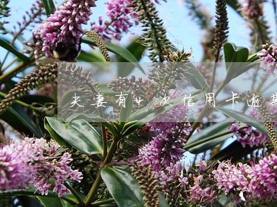 夫妻有4次信用卡逾期 夫妻有4次信用卡逾期