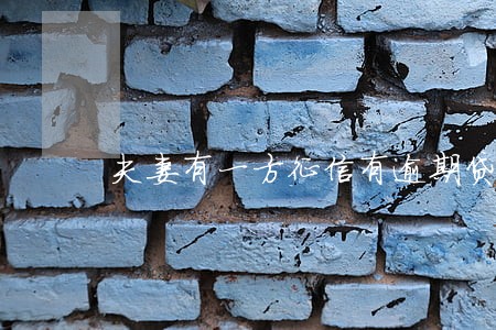 夫妻有一方征信有逾期贷款 夫妻有一方征信有逾期贷款