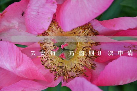 夫妻有一方逾期8次申请房贷 夫妻有一方逾期8次申请房贷