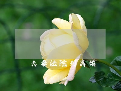 夫妻法院判离婚 夫妻法院判离婚