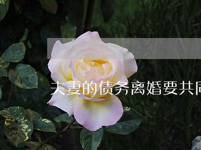 夫妻的债务离婚要共同承担吗 夫妻的债务离婚要共同承担吗