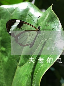 夫妻的电话录音违法吗 夫妻的电话录音违法吗