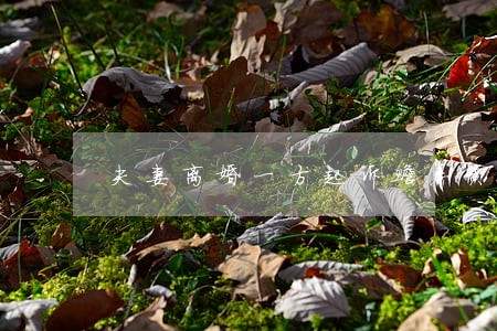 夫妻离婚一方起诉赡养费 夫妻离婚一方起诉赡养费