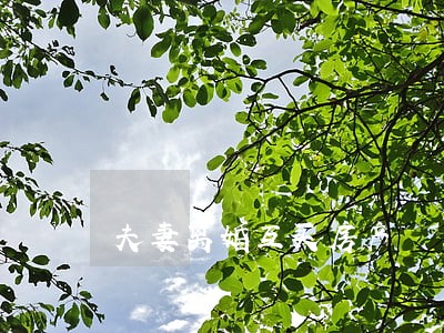 夫妻离婚互买房产 夫妻离婚互买房产
