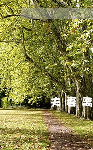 夫妻离婚分割财产的协议