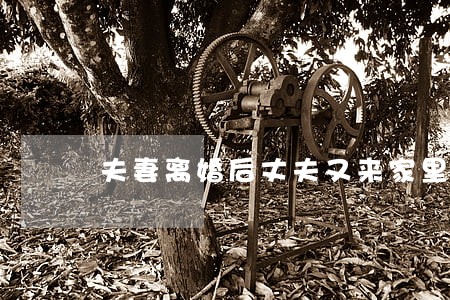 夫妻离婚后丈夫又来家里住算违法 夫妻离婚后丈夫又来家里住算违法