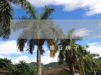 夫妻离婚后房子法院可以拍卖吗 夫妻离婚后房子法院可以拍卖吗