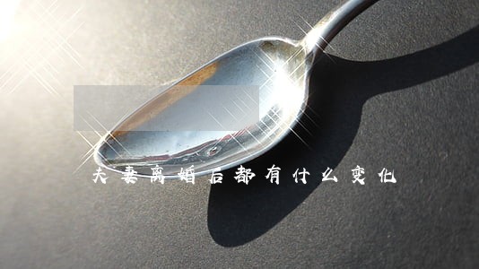 夫妻离婚后都有什么变化