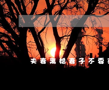 夫妻离婚妻子不要孩子我该怎么办 夫妻离婚妻子不要孩子我该怎么办