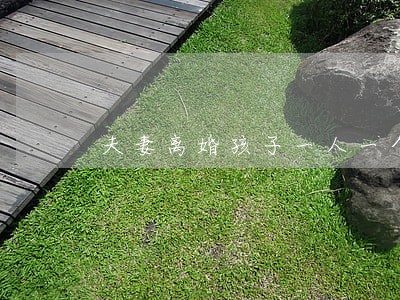 夫妻离婚孩子一人一个抚养权 夫妻离婚孩子一人一个抚养权