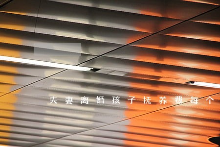 夫妻离婚孩子抚养费每个月多少钱 夫妻离婚孩子抚养费每个月多少钱