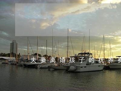 夫妻离婚孩子的抚养费是多少比例 夫妻离婚孩子的抚养费是多少比例