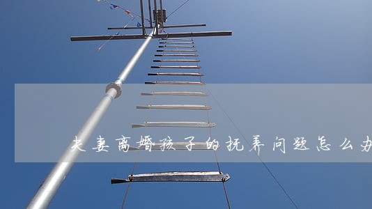 夫妻离婚孩子的抚养问题怎么办 夫妻离婚孩子的抚养问题怎么办