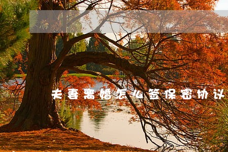 夫妻离婚怎么签保密协议 夫妻离婚怎么签保密协议