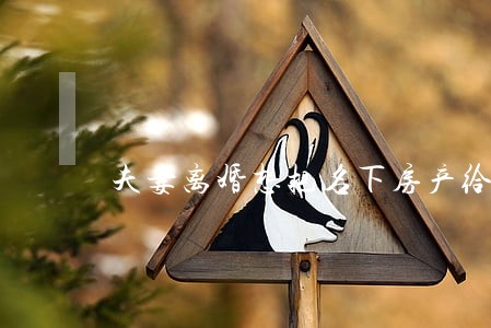 夫妻离婚想把名下房产给孩子 夫妻离婚想把名下房产给孩子