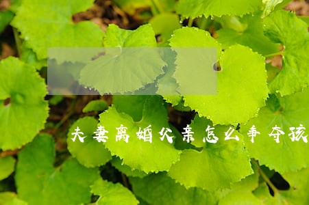 夫妻离婚父亲怎么争夺孩子