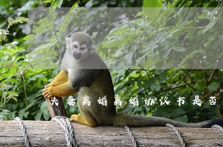 夫妻离婚离婚协议书是否生效 夫妻离婚离婚协议书是否生效