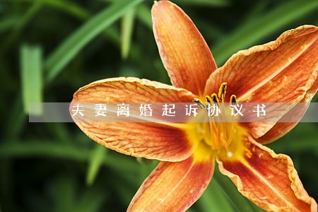 夫妻离婚起诉协议书 夫妻离婚起诉协议书