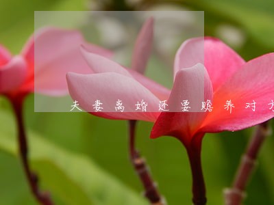夫妻离婚还要赡养对方父母吗 夫妻离婚还要赡养对方父母吗