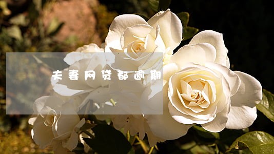 夫妻网贷都逾期 夫妻网贷都逾期