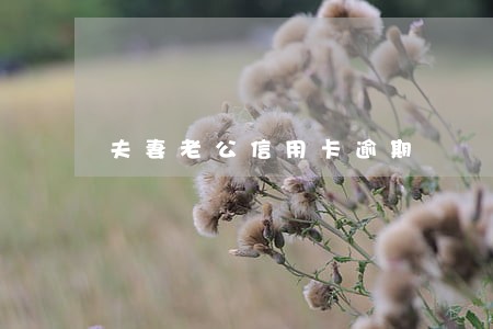 夫妻老公信用卡逾期