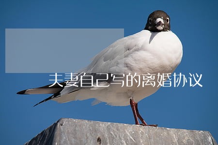 夫妻自己写的离婚协议 夫妻自己写的离婚协议