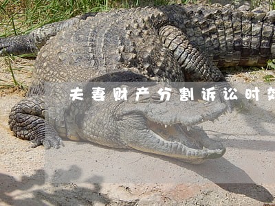 夫妻财产分割诉讼时效 夫妻财产分割诉讼时效