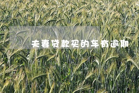 夫妻贷款买的车有逾期 夫妻贷款买的车有逾期