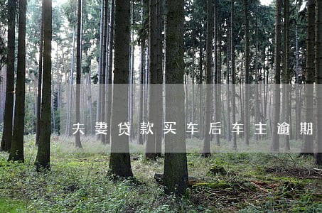 夫妻贷款买车后车主逾期 夫妻贷款买车后车主逾期