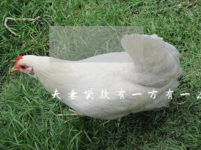 夫妻贷款有一方有一次逾期 夫妻贷款有一方有一次逾期