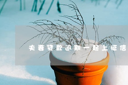 夫妻贷款逾期一起上征信吗 夫妻贷款逾期一起上征信吗