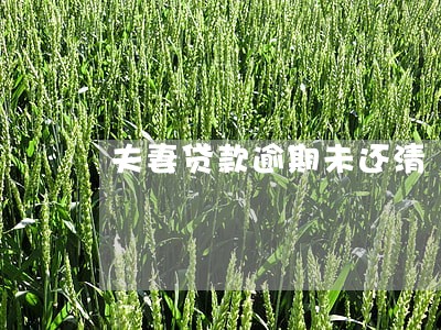 夫妻贷款逾期未还清