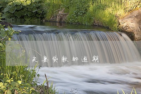 夫妻贷款都逾期