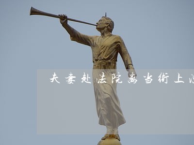 夫妻赴法院离当街上演抢儿大战
