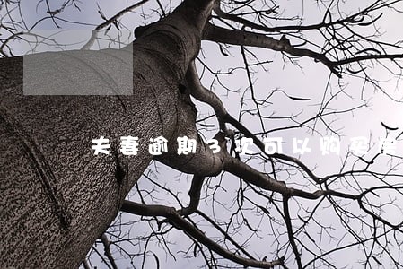 夫妻逾期3次可以购买房子吗 夫妻逾期3次可以购买房子吗