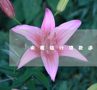 夫妻银行贷款逾期都上征信吗 夫妻银行贷款逾期都上征信吗