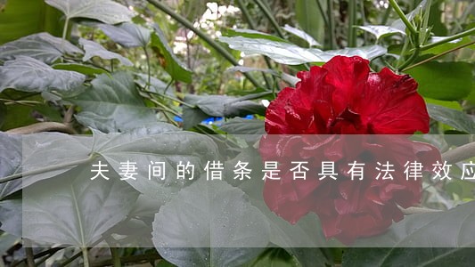夫妻间的借条是否具有法律效应 夫妻间的借条是否具有法律效应